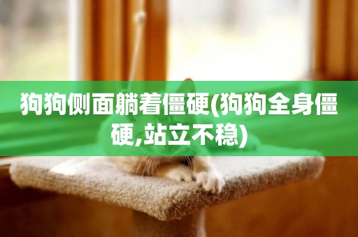 狗狗側面躺著僵硬(狗狗全身僵硬,站立不穩)