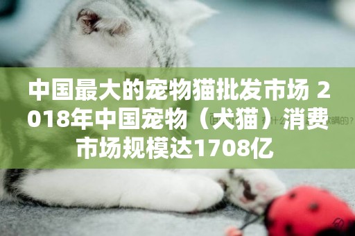 中國最大的寵物貓批發市場 2018年中國寵物（犬貓）消費市場規模達1708億 