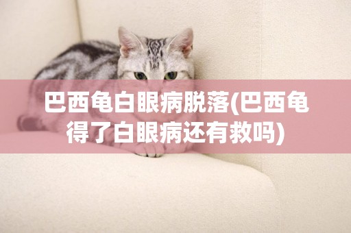 巴西龜白眼病脫落(巴西龜得了白眼病還有救嗎)
