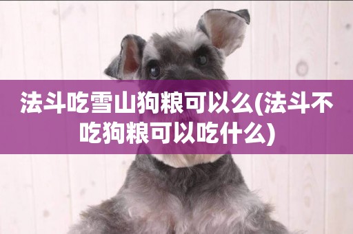 法斗吃雪山狗糧可以么(法斗不吃狗糧可以吃什么)