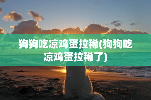 狗狗吃涼雞蛋拉稀(狗狗吃涼雞蛋拉稀了)