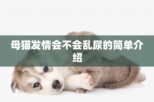 母貓發情會不會亂尿的簡單介紹