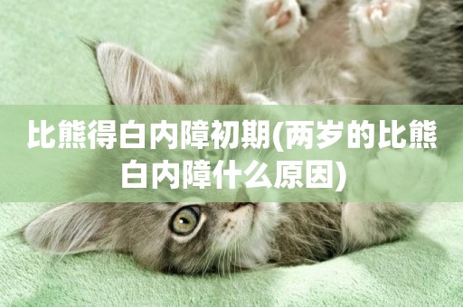 比熊得白內障初期(兩歲的比熊白內障什么原因)