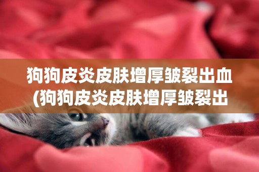 狗狗皮炎皮膚增厚皺裂出血(狗狗皮炎皮膚增厚皺裂出血怎么治療)
