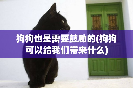 狗狗也是需要鼓勵的(狗狗可以給我們帶來什么)
