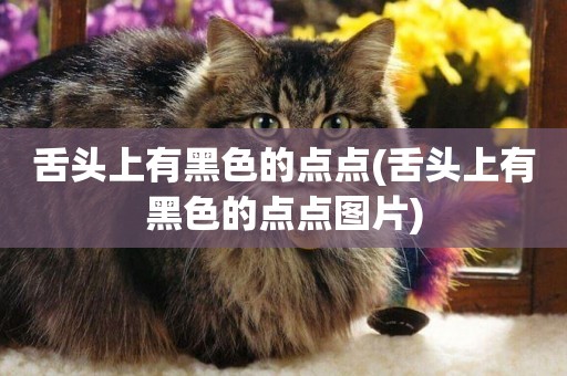 舌頭上有黑色的點點(舌頭上有黑色的點點圖片)