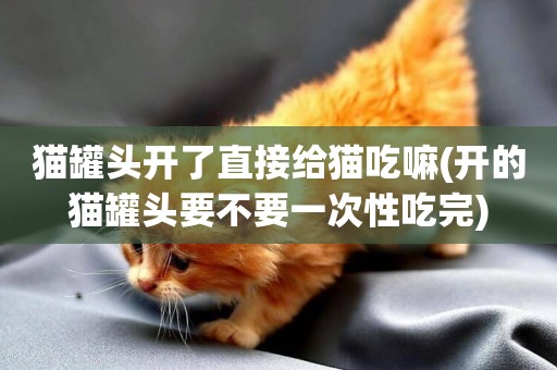 貓罐頭開了直接給貓吃嘛(開的貓罐頭要不要一次性吃完)
