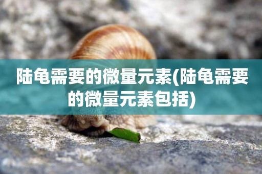 陸龜需要的微量元素(陸龜需要的微量元素包括)