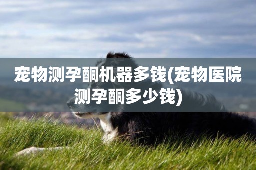 寵物測孕酮機器多錢(寵物醫院測孕酮多少錢)