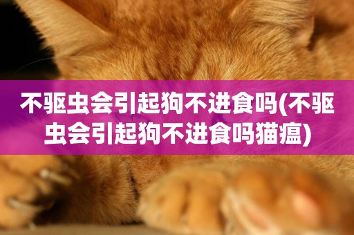 不驅蟲會引起狗不進食嗎(不驅蟲會引起狗不進食嗎貓瘟)