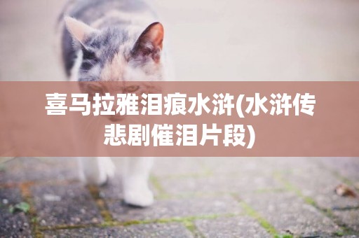 喜馬拉雅淚痕水滸(水滸傳悲劇催淚片段)