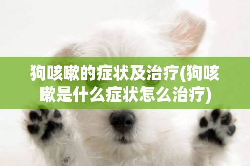 狗咳嗽的癥狀及治療(狗咳嗽是什么癥狀怎么治療)