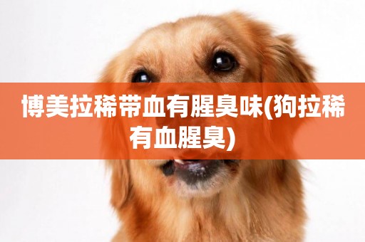 博美拉稀帶血有腥臭味(狗拉稀有血腥臭)