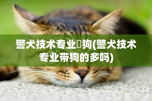 警犬技術專業帶狗(警犬技術專業帶狗的多嗎)