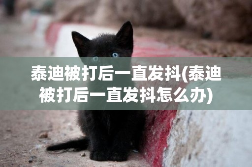 泰迪被打后一直發抖(泰迪被打后一直發抖怎么辦)