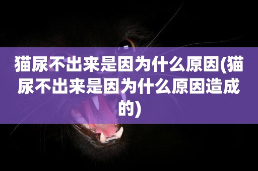 貓尿不出來是因為什么原因(貓尿不出來是因為什么原因造成的)