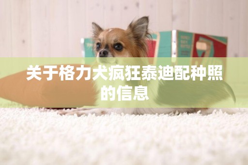 關于格力犬瘋狂泰迪配種照的信息