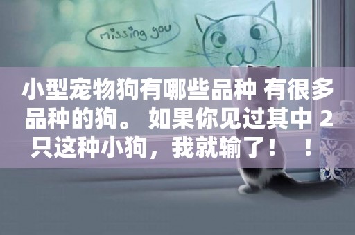 小型寵物狗有哪些品種 有很多品種的狗。 如果你見過其中 2 只這種小狗，我就輸了！  ！ 