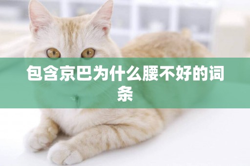 包含京巴為什么腰不好的詞條