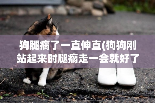 狗腿瘸了一直伸直(狗狗剛站起來時腿瘸走一會就好了)