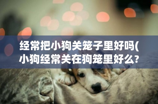 經常把小狗關籠子里好嗎(小狗經常關在狗籠里好么?)