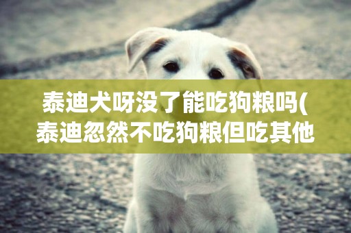 泰迪犬呀沒了能吃狗糧嗎(泰迪忽然不吃狗糧但吃其他的)