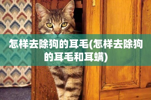 怎樣去除狗的耳毛(怎樣去除狗的耳毛和耳螨)