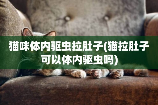 貓咪體內驅蟲拉肚子(貓拉肚子可以體內驅蟲嗎)