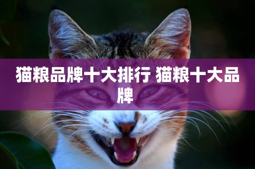 貓糧品牌十大排行 貓糧十大品牌 