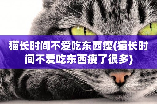 貓長時間不愛吃東西瘦(貓長時間不愛吃東西瘦了很多)