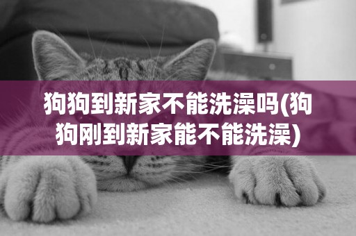 狗狗到新家不能洗澡嗎(狗狗剛到新家能不能洗澡)