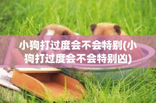 小狗打過度會不會特別(小狗打過度會不會特別兇)