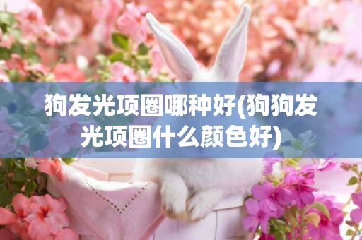 狗發光項圈哪種好(狗狗發光項圈什么顏色好)