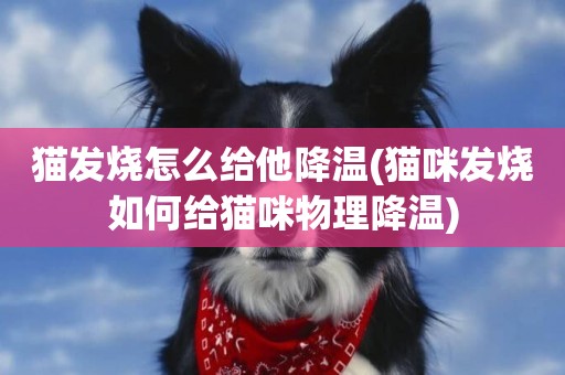 貓發燒怎么給他降溫(貓咪發燒如何給貓咪物理降溫)