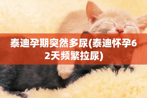 泰迪孕期突然多尿(泰迪懷孕62天頻繁拉尿)