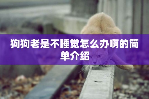 狗狗老是不睡覺怎么辦啊的簡單介紹