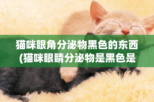 貓咪眼角分泌物黑色的東西(貓咪眼睛分泌物是黑色是怎么回事)