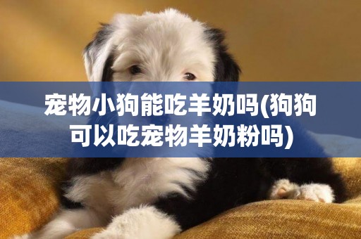 寵物小狗能吃羊奶嗎(狗狗可以吃寵物羊奶粉嗎)