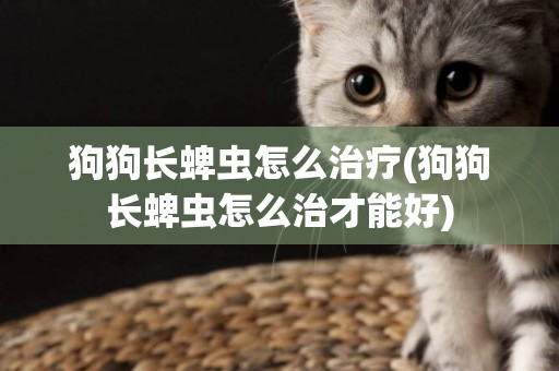 狗狗長蜱蟲怎么治療(狗狗長蜱蟲怎么治才能好)