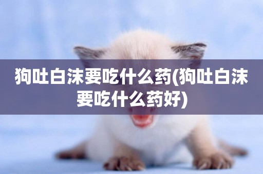 狗吐白沫要吃什么藥(狗吐白沫要吃什么藥好)