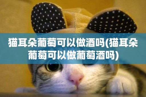 貓耳朵葡萄可以做酒嗎(貓耳朵葡萄可以做葡萄酒嗎)