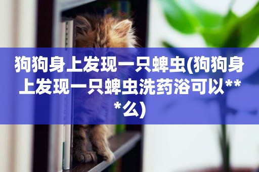 狗狗身上發現一只蜱蟲(狗狗身上發現一只蜱蟲洗藥浴可以***么)
