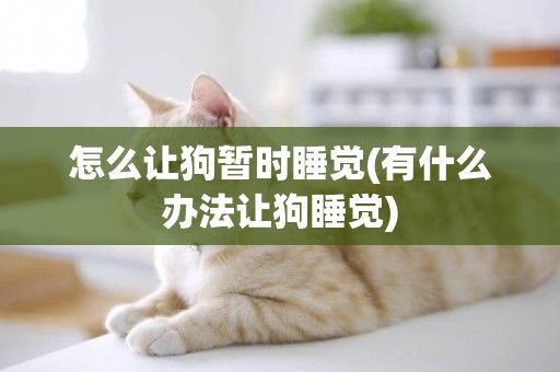 怎么讓狗暫時睡覺(有什么辦法讓狗睡覺)