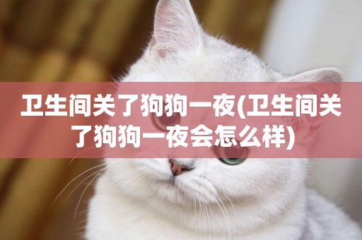 衛生間關了狗狗一夜(衛生間關了狗狗一夜會怎么樣)