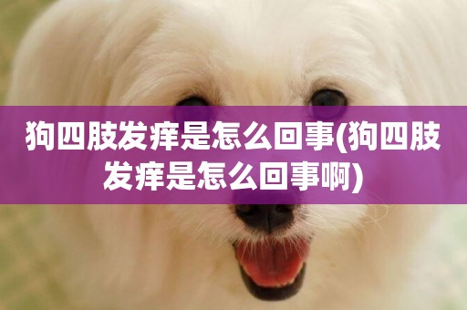狗四肢發癢是怎么回事(狗四肢發癢是怎么回事啊)