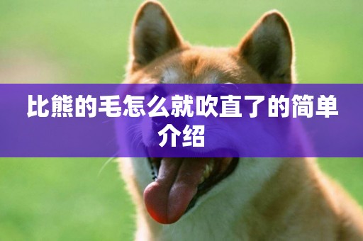 比熊的毛怎么就吹直了的簡單介紹