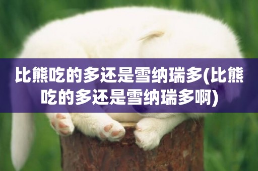 比熊吃的多還是雪納瑞多(比熊吃的多還是雪納瑞多啊)
