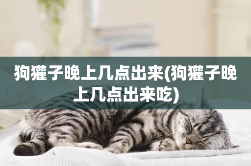 狗獾子晚上幾點出來(狗獾子晚上幾點出來吃)