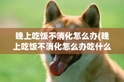 晚上吃飯不消化怎么辦(晚上吃飯不消化怎么辦吃什么藥)