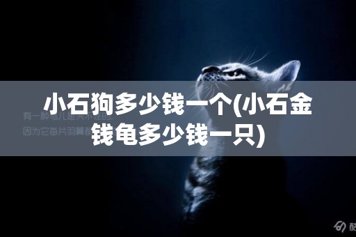 小石狗多少錢一個(小石金錢龜多少錢一只)